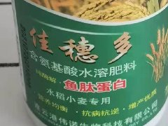 什么是魚肽蛋白肥料-偉諾生物科技來解答